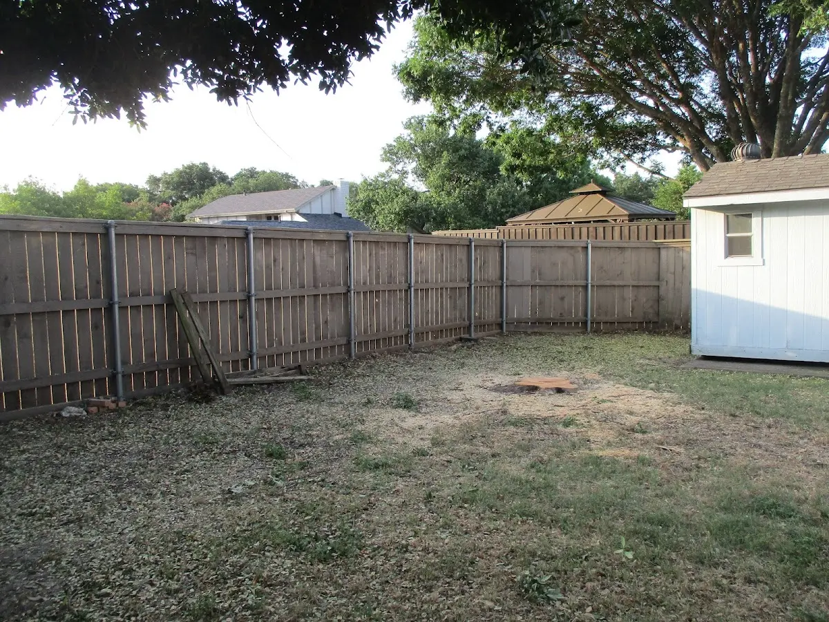Cleared yard after professional tree removal in Endeavor