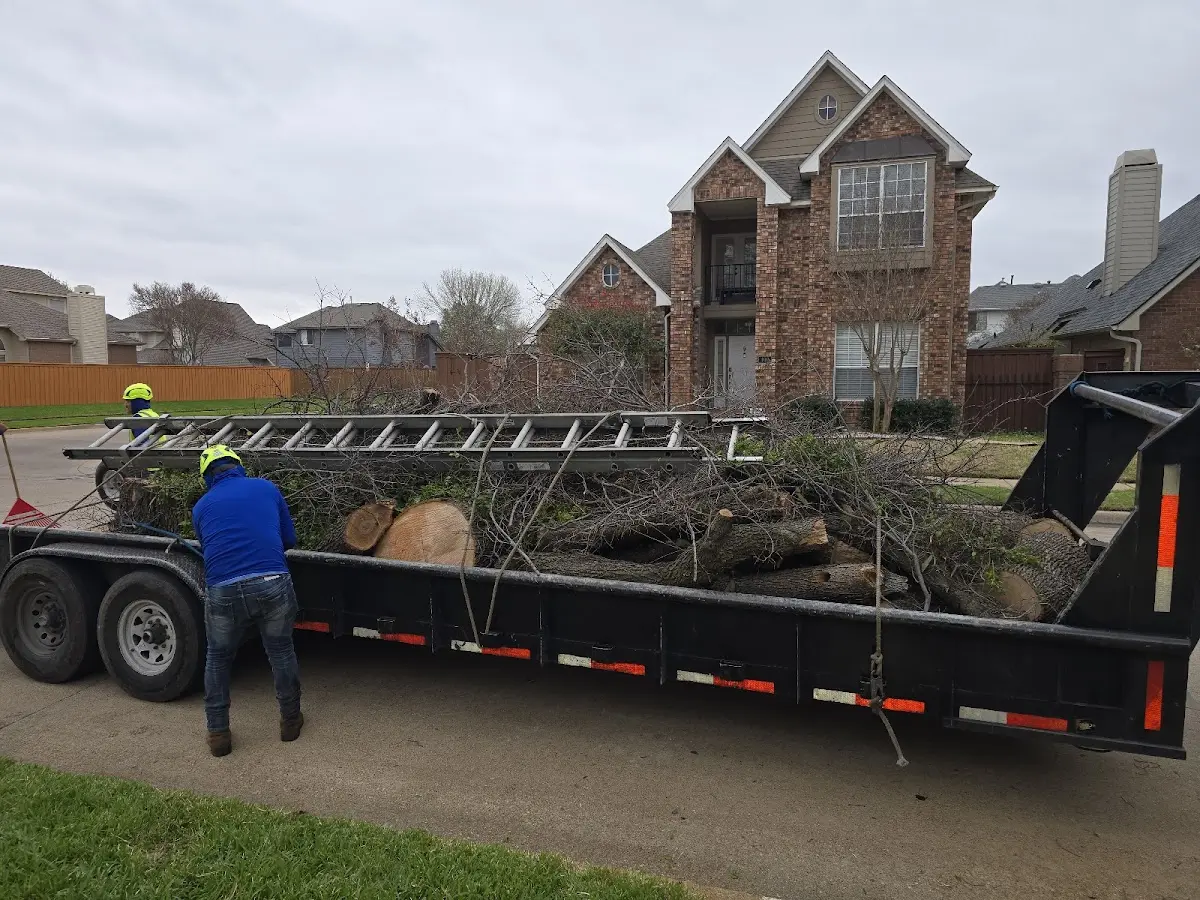 Expert Tree Removal with proper safety equipment in Endeavor